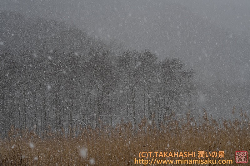 ../Images/7R250303 (117).jpg